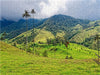 Cocora-Tal, Kolumbien - CALVENDO Foto-Puzzle - calvendoverlag 39.99