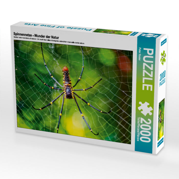 Spinnennetze - Wunder der Natur - CALVENDO Foto-Puzzle - calvendoverlag 39.99