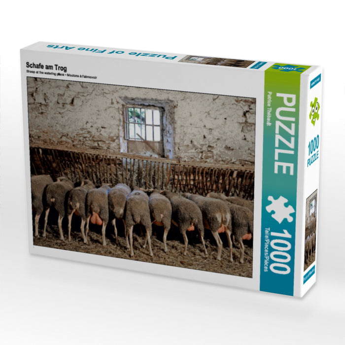 Schafe am Trog - CALVENDO Foto-Puzzle - calvendoverlag 29.99