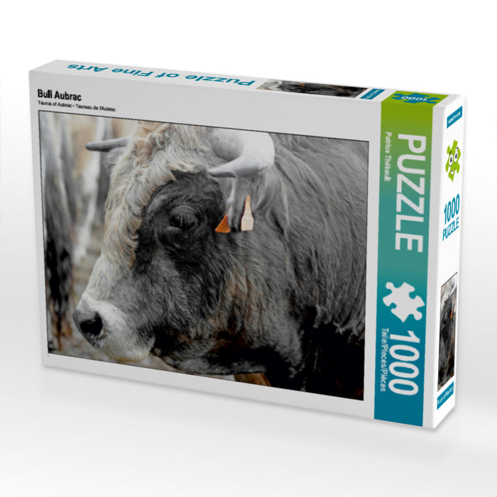 Bull Aubrac - CALVENDO Foto-Puzzle - calvendoverlag 29.99