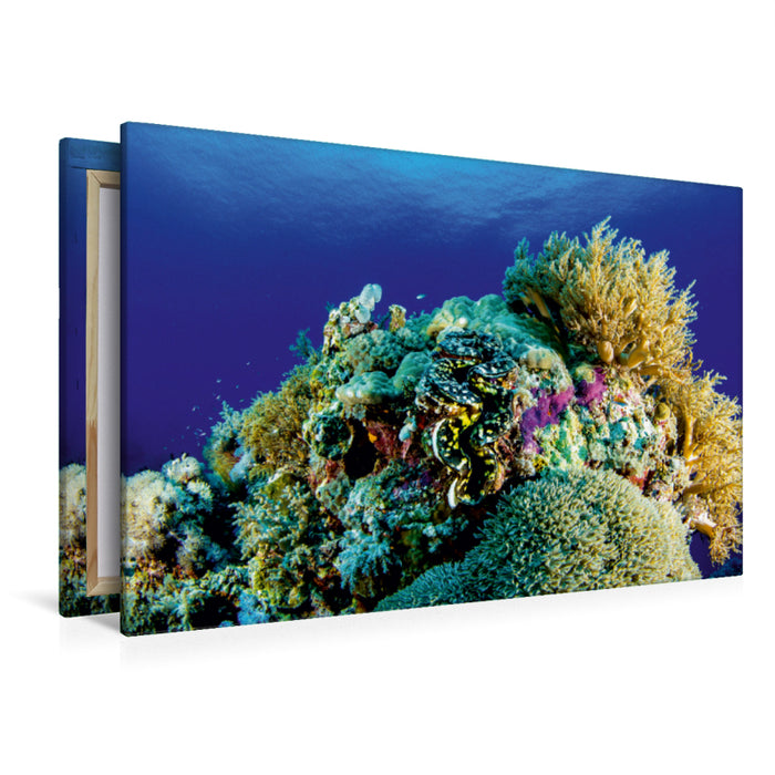 Toile textile haut de gamme Toile textile haut de gamme 120 cm x 80 cm à travers le récif de corail 