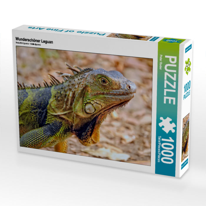 Wunderschöner Leguan - CALVENDO Foto-Puzzle - calvendoverlag 29.99