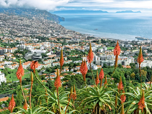 Madeira - Inselzauber im Atlantik - CALVENDO Foto-Puzzle - calvendoverlag 29.99