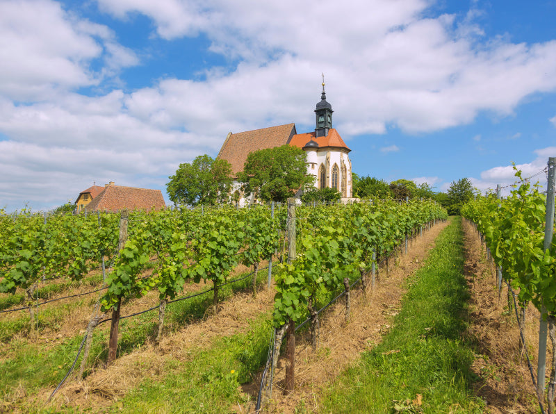 Wallfahrtskirche Maria im Weingarten - CALVENDO Foto-Puzzle - calvendoverlag 29.99