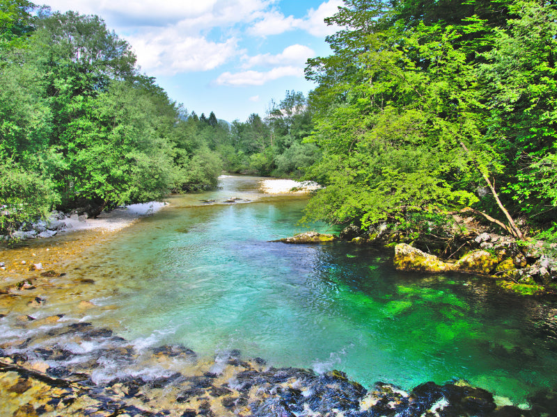 Smaragdgrüne Savica - CALVENDO Foto-Puzzle - calvendoverlag 29.99