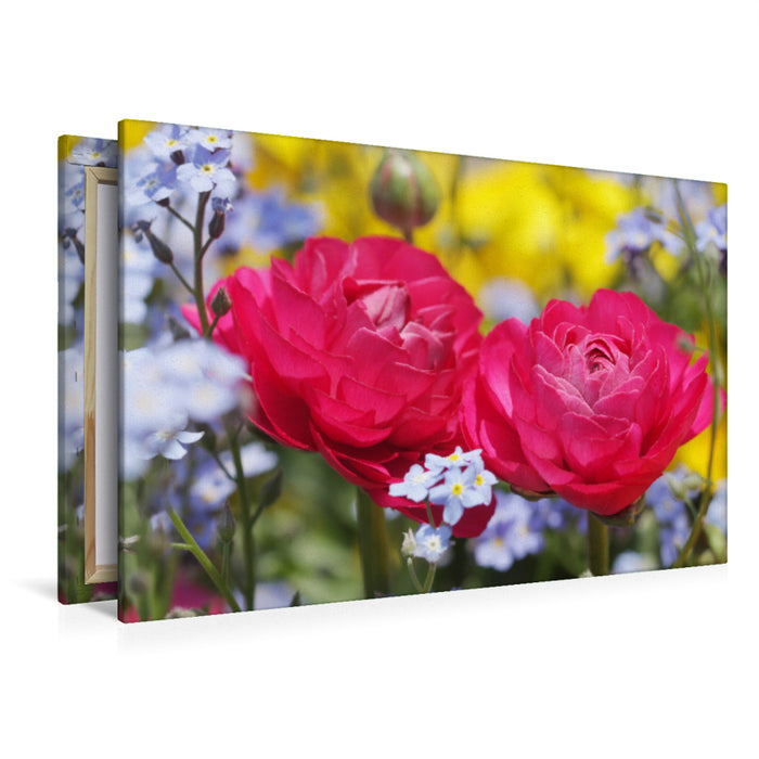 Toile textile premium Toile textile premium 120 cm x 80 cm paysage Renoncule rose entourée de myosotis 