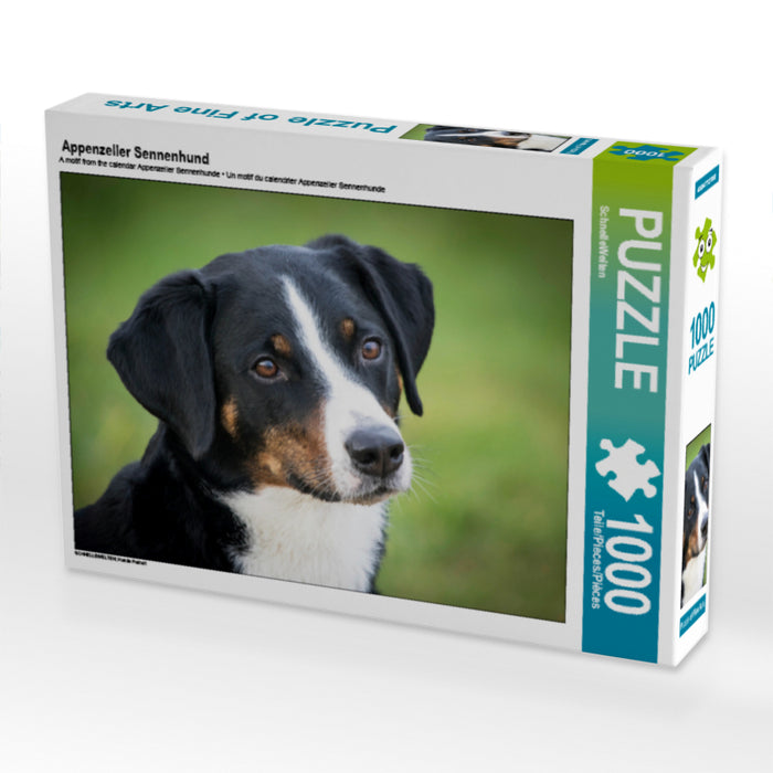 Appenzeller Sennenhund - CALVENDO Foto-Puzzle - calvendoverlag 29.99
