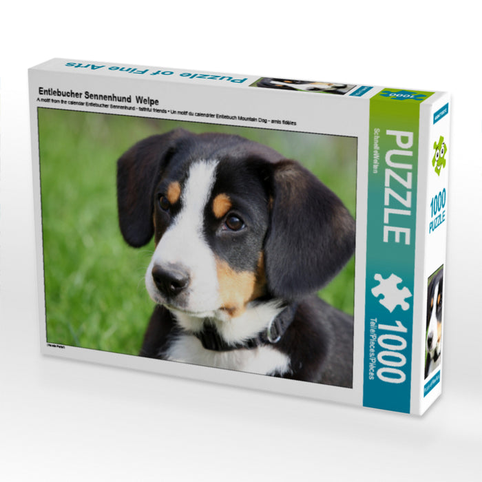 Entlebucher Sennenhund  Welpe - CALVENDO Foto-Puzzle - calvendoverlag 29.99