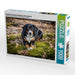 Herbstlich mit dem Entelbucher Sennenhund - CALVENDO Foto-Puzzle - calvendoverlag 29.99