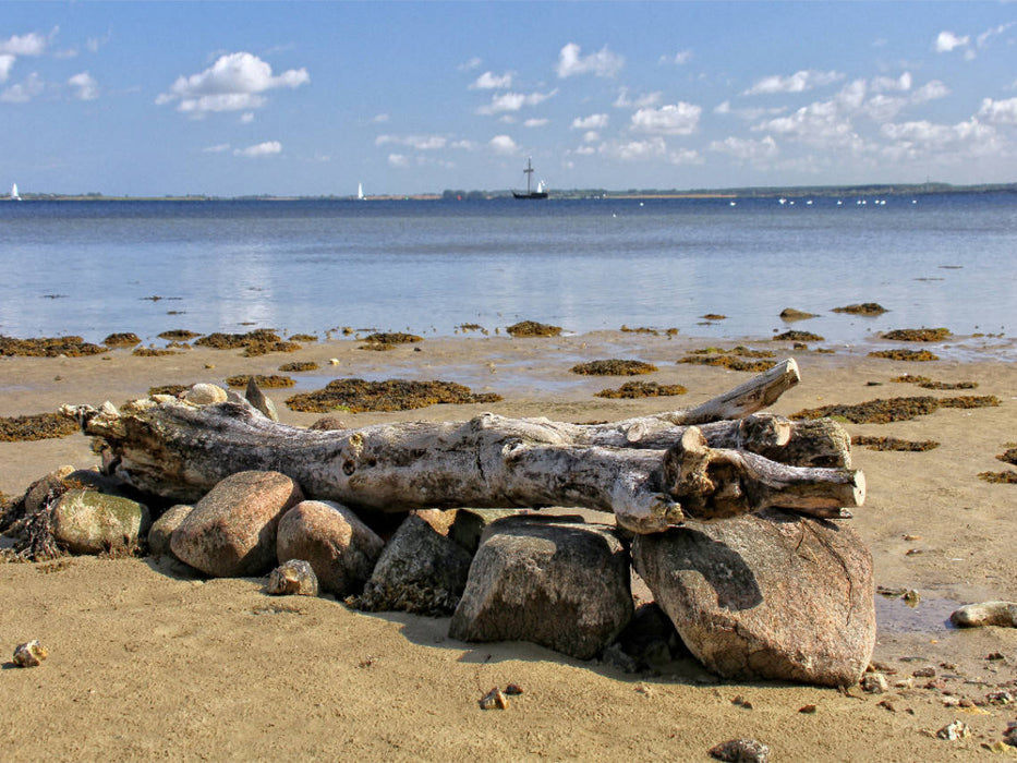 Bois flotté sur la plage sauvage - Puzzle photo CALVENDO 