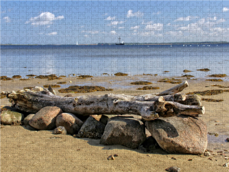 Treibholz am wilden Strand - CALVENDO Foto-Puzzle - calvendoverlag 29.99