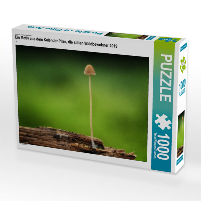 Pilze, die stillen Waldbewohner 2019 - CALVENDO Foto-Puzzle