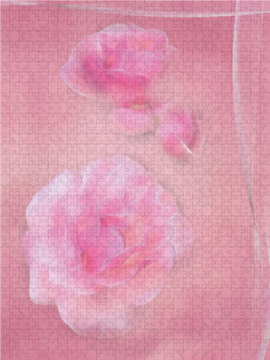 Die zarten Rosenblüten 2000 Teile Puzzle hoch - CALVENDO Foto-Puzzle'
