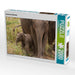 Asiatische Elefanten - CALVENDO Foto-Puzzle - calvendoverlag 29.99