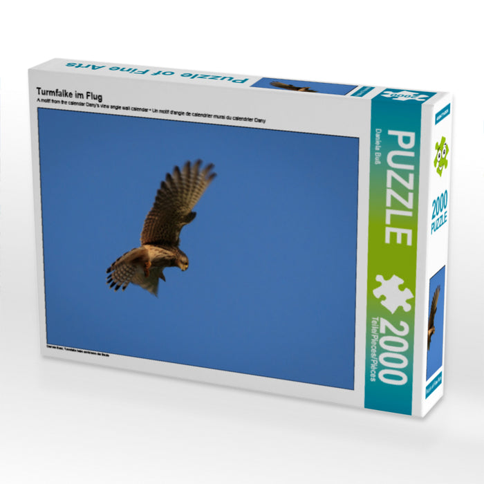 Turmfalke im Flug - CALVENDO Foto-Puzzle - calvendoverlag 39.99