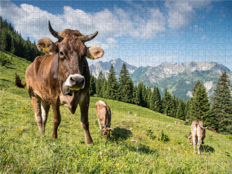 Auf der Sommerweide - CALVENDO Foto-Puzzle