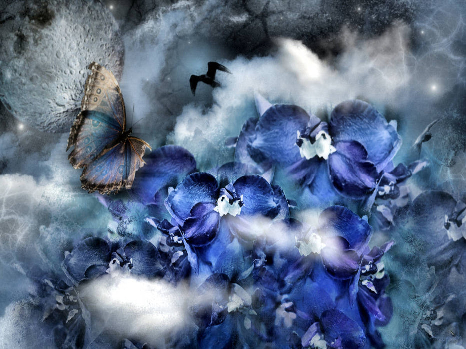 Pied d'alouette avec papillon du ciel - Puzzle photo CALVENDO 