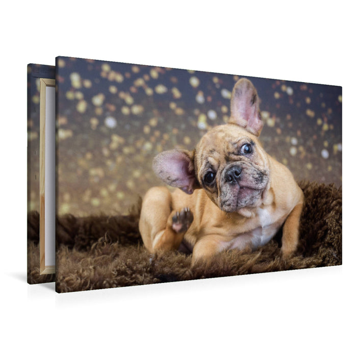 Premium Textil-Leinwand Premium Textil-Leinwand 120 cm x 80 cm quer French-Bullterrier