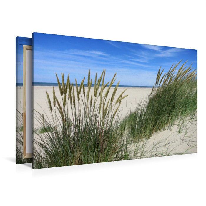 Premium Textil-Leinwand Premium Textil-Leinwand 120 cm x 80 cm quer Strandhafer im Sommer