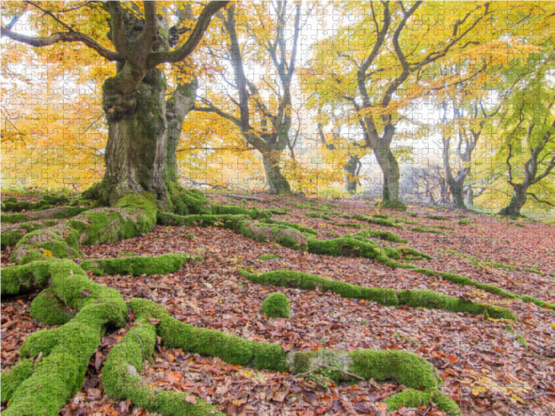 Im Hutewald - CALVENDO Foto-Puzzle - calvendoverlag 29.99