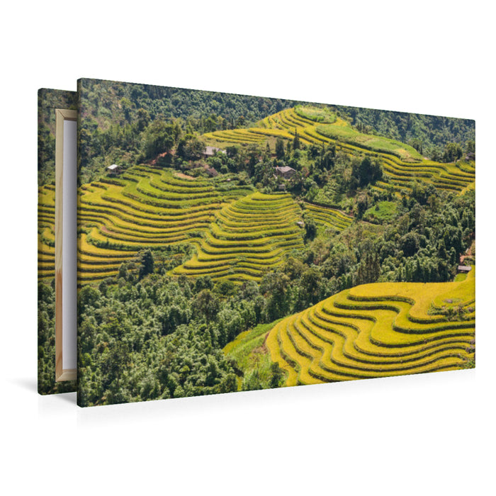 Premium Textil-Leinwand Premium Textil-Leinwand 120 cm x 80 cm quer Reisterrassen, Hoang Su Phi, Vietnam