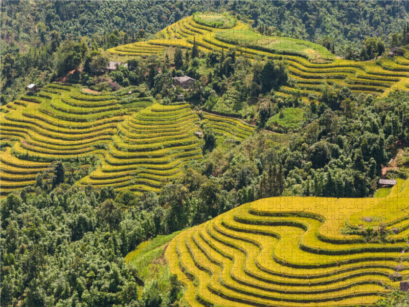 Rizières en terrasses, Hoang Su Phi, Vietnam - Puzzle photo CALVENDO 