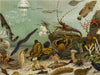 Seewasser-Aquarium, Künstler: Adolf Giltsch (1852-1911) Jena - CALVENDO Foto-Puzzle - calvendoverlag 29.99