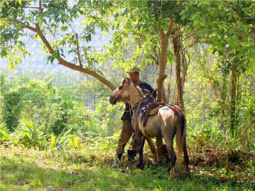 ESCAMBRAY - Kubas grünes Herz - CALVENDO Foto-Puzzle - calvendoverlag 29.99