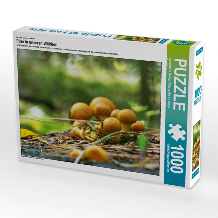 Pilze in unseren Wäldern - CALVENDO Foto-Puzzle - calvendoverlag 29.99