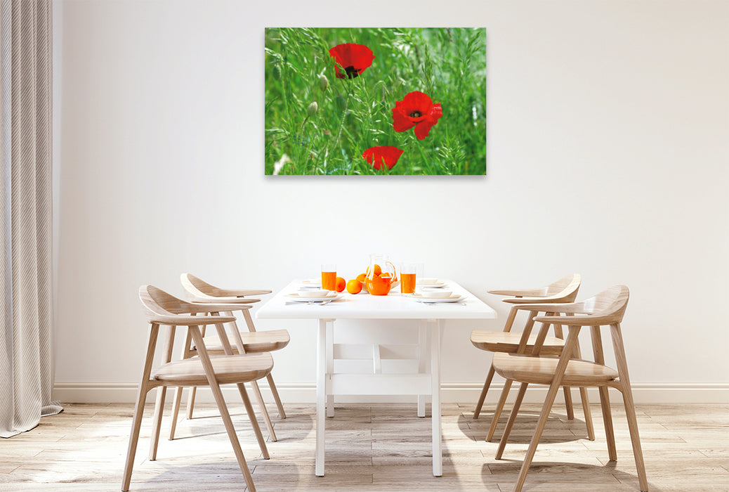 Premium Textil-Leinwand Premium Textil-Leinwand 120 cm x 80 cm quer Ein Motiv aus dem Kalender Poppies Träume