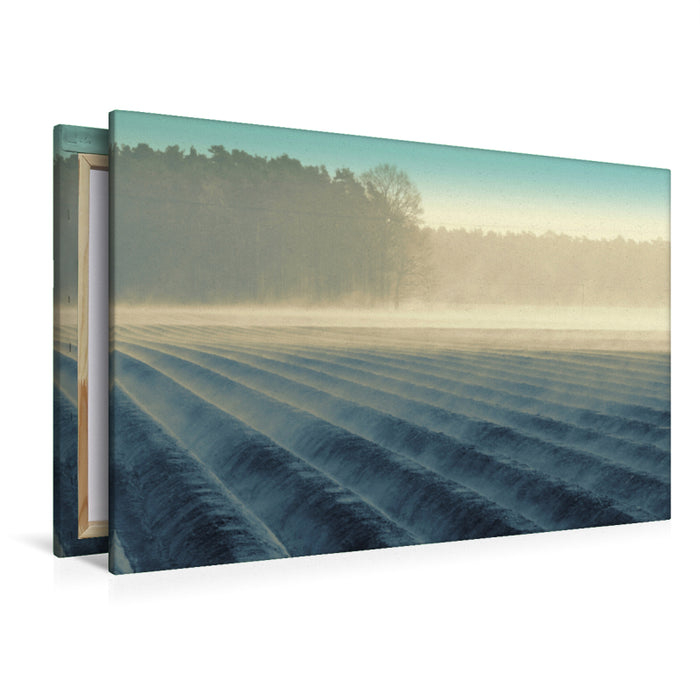 Toile textile haut de gamme Toile textile haut de gamme 120 cm x 80 cm paysage Matin brumeux sur le champ d'asperges par Tanja Riedel 