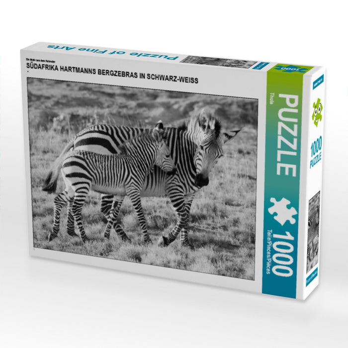 SÜDAFRIKA HARTMANNS BERGZEBRAS IN SCHWARZ-WEISS - CALVENDO Foto-Puzzle - calvendoverlag 29.99