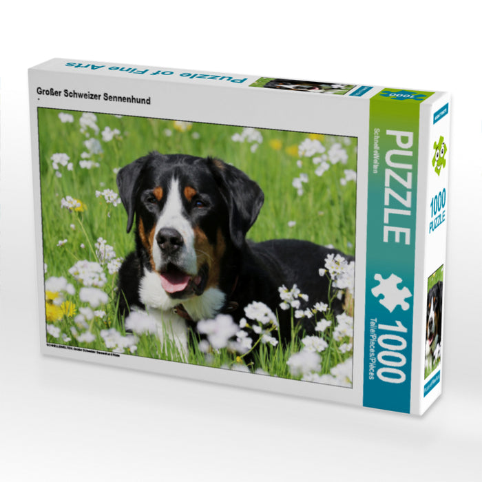 Großer Schweizer Sennenhund - CALVENDO Foto-Puzzle - calvendoverlag 29.99