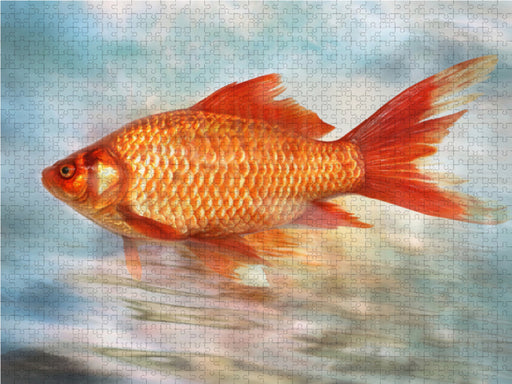 Goldfisch - CALVENDO Foto-Puzzle - calvendoverlag 29.99