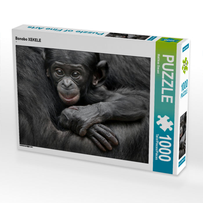 Bonobo XEKELE - CALVENDO Foto-Puzzle - calvendoverlag 29.99