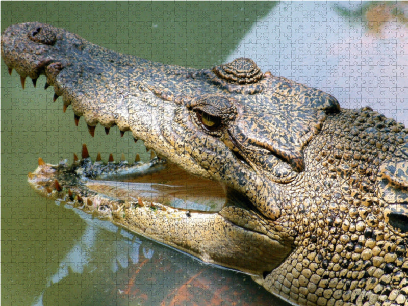 Sumatra, Indonesien - CALVENDO Foto-Puzzle - calvendoverlag 39.99