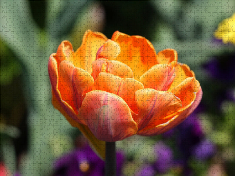 Makroblüten - CALVENDO Foto-Puzzle - calvendoverlag 39.99