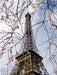 Frühling in Paris - CALVENDO Foto-Puzzle - calvendoverlag 39.99