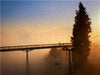 Winterberg - Panoramabrücke - CALVENDO Foto-Puzzle - calvendoverlag 54.99