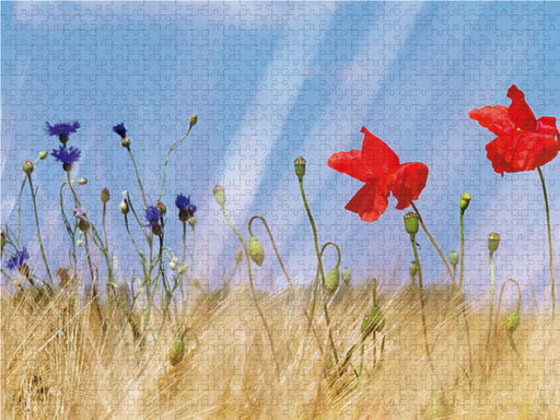 Poppies Träume - CALVENDO Foto-Puzzle - calvendoverlag 39.99