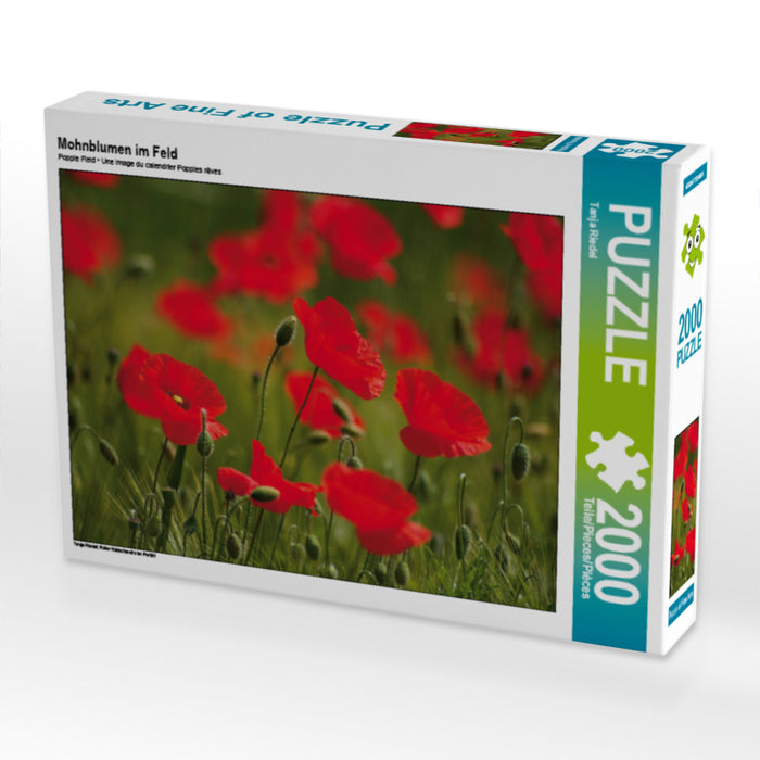 Mohnblumen im Feld - CALVENDO Foto-Puzzle - calvendoverlag 39.99