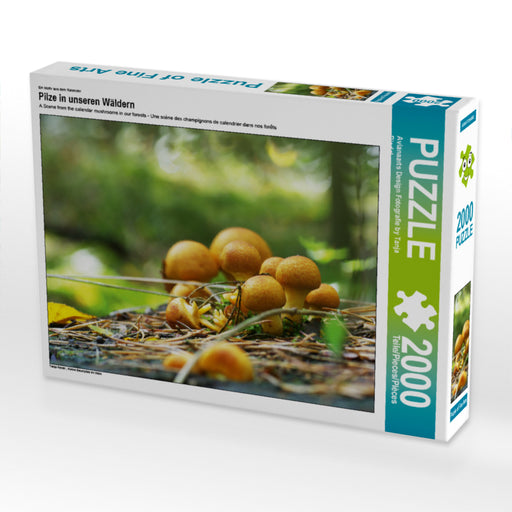 Pilze in unseren Wäldern - CALVENDO Foto-Puzzle - calvendoverlag 29.99