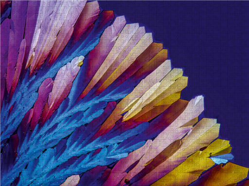 Zuckerkristalle in polarisiertem Licht - CALVENDO Foto-Puzzle - calvendoverlag 39.99