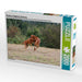 Rhodesian Ridgeback Hündinnen - CALVENDO Foto-Puzzle - calvendoverlag 39.99