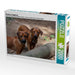 Rhodesian Ridgeback - CALVENDO Foto-Puzzle - calvendoverlag 29.99