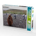 junger Königspinguin - CALVENDO Foto-Puzzle - calvendoverlag 39.99