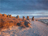 Gotland Raukgebiet Langhammars - CALVENDO Foto-Puzzle - calvendoverlag 39.99