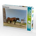 Gotland Pferde im Wind - CALVENDO Foto-Puzzle - calvendoverlag 39.99