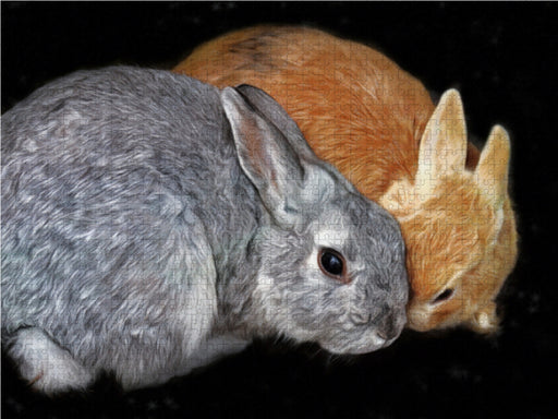 Zwei Kaninchen - CALVENDO Foto-Puzzle - calvendoverlag 29.99