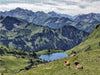 Seealpsee/Höfatsblick - CALVENDO Foto-Puzzle - calvendoverlag 39.99